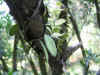 139_3912.JPG (162284 bytes)
